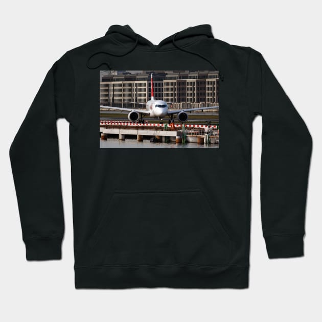 Birds at London City Airport Hoodie by Z Snapper